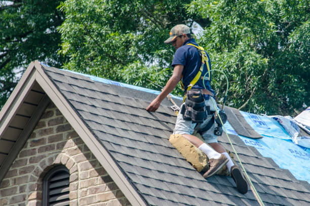 Best Gutter Installation and Roofing  in Stonebridge, NJ